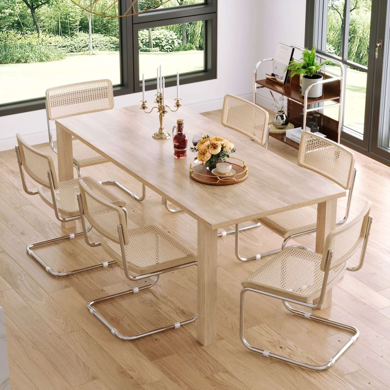 JASIWAY Rattan Dining Side Chair Set of 2 Stainless Steel Base
