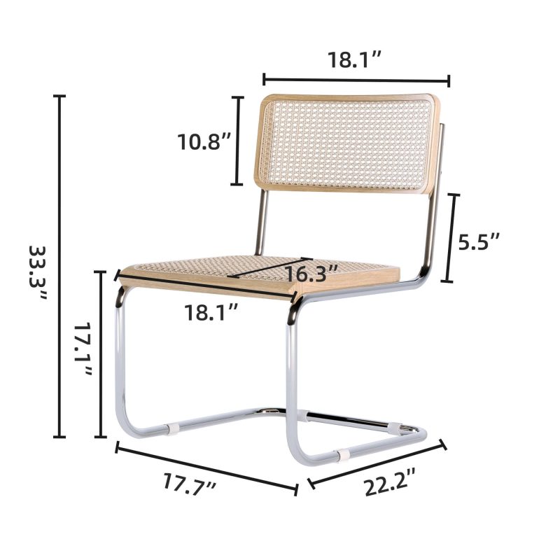JASIWAY Rattan Dining Side Chair Set of 2 Stainless Steel Base
