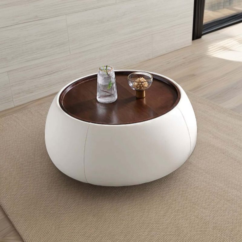 JASIWAY Light Luxury Modern Round Coffee Table with Storage
